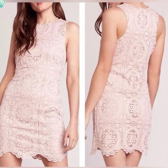 Jack by BB Dakota mauve rose sheath dress pink lace sleeveless M NEW - Picture 1 of 6
